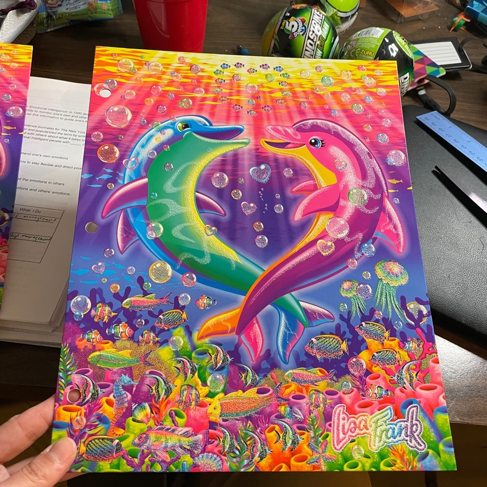 Lisa frank folder